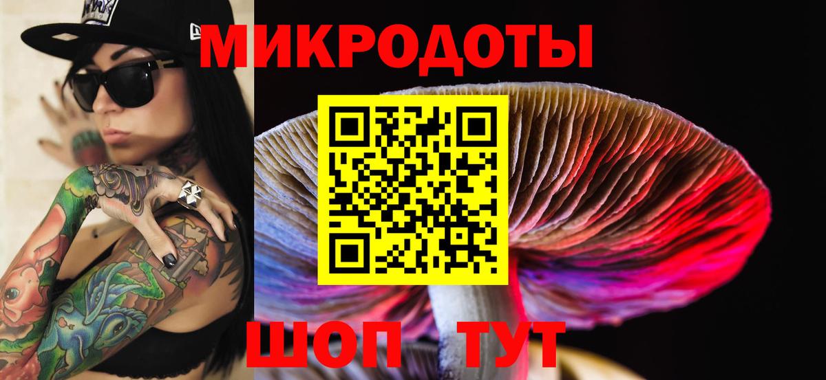 Галлюциногенные грибы ЛСД Грозный