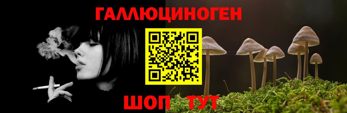 Псилоцибиновые грибы MAGIC MUSHROOMS  Вход с VPN  Грозный 